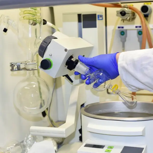 Researcher attaching a round-bottom flask to a rotary evaporator in a chemistry lab.